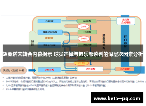 胡桑诺夫转会内幕揭示 球员选择与俱乐部谈判的深层次因素分析
