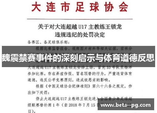 魏震禁赛事件的深刻启示与体育道德反思