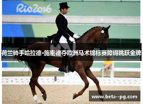 荷兰骑手哈拉德·施密德夺欧洲马术锦标赛障碍跳跃金牌