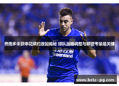费南多未获申花续约原因揭秘 球队战略调整与薪资考量是关键