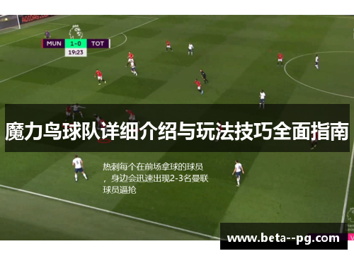魔力鸟球队详细介绍与玩法技巧全面指南