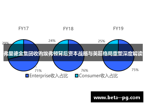 弗里德金集团收购埃弗顿背后资本战略与英超格局重塑深度解读