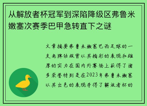 从解放者杯冠军到深陷降级区弗鲁米嫩塞次赛季巴甲急转直下之谜